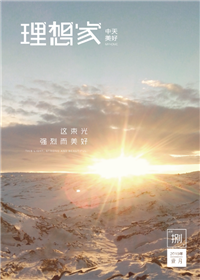 《理想家》东升国际美好集团<br>（2019年第8期）